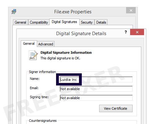Screenshot of the Luidia Inc certificate